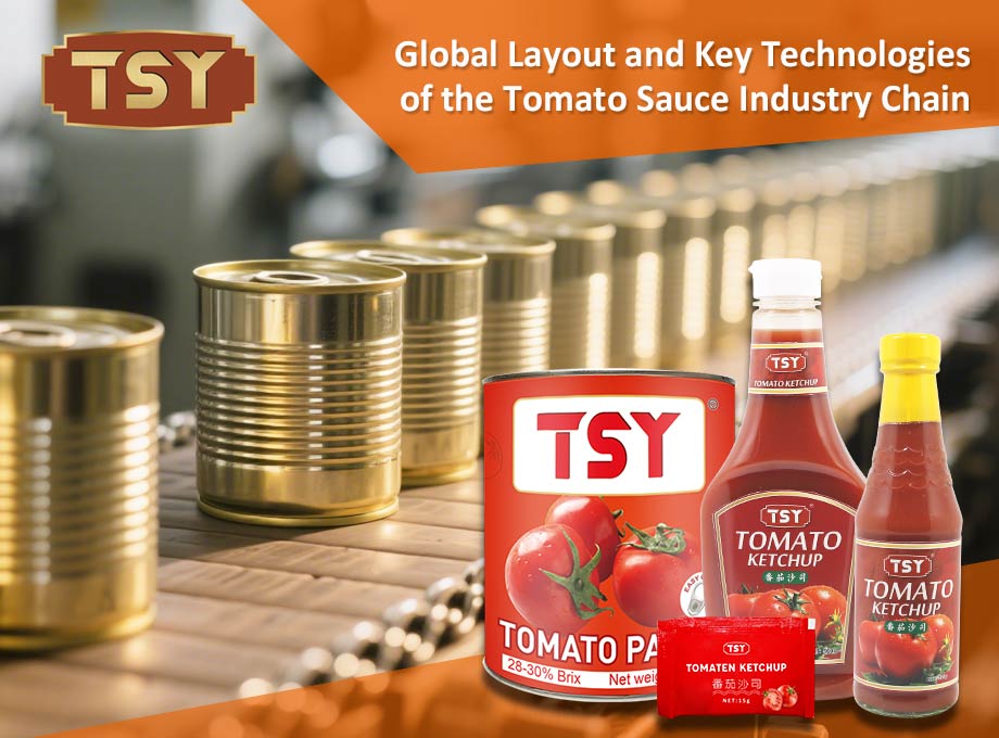 Diseño global y tecnologías clave de la cadena de la industria de la salsa de tomate