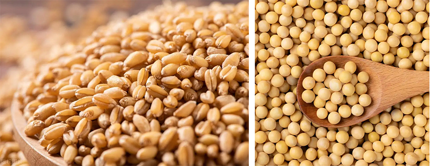 1 黄豆原料